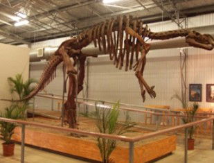 Australia's Dinosaur Trail - New Castle Holiday 0