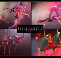 Aerial Angels - New Castle Holiday