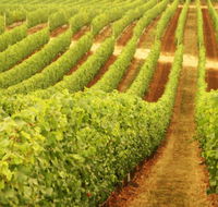 Wignalls Winery - New Castle Holiday