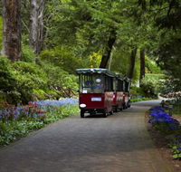 Araluen Botanic Park - New Castle Holiday