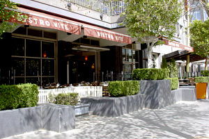 Bistro Vite - New Castle Holiday 0