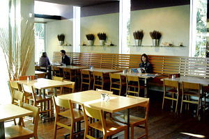 Observatory Cafe - New Castle Holiday 0