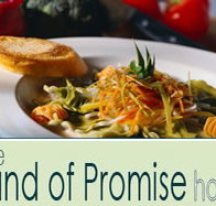 Land of Promise Hotel - New Castle Holiday