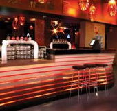 Birdee Num Num - New Castle Holiday