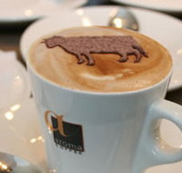 Brown Cow - New Castle Holiday