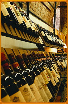 Pyrmont NSW New Castle Holiday