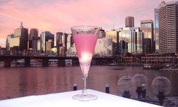 Cohibar - New Castle Holiday 0