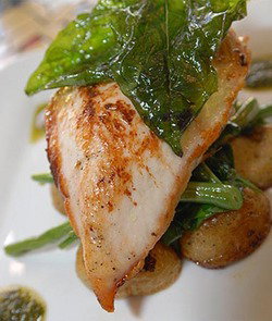 The Austral - New Castle Holiday 1