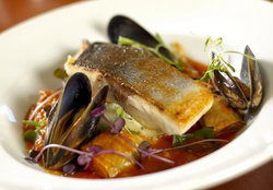 Hotel Max - New Castle Holiday 1