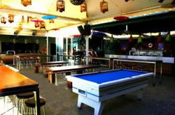 Birdee Num Num - New Castle Holiday 1