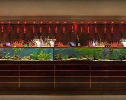 AB Hotel - New Castle Holiday 2