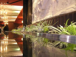 Terra Rossa - New Castle Holiday 2