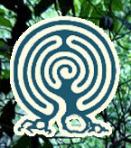 Forest Cafe & Bar - New Castle Holiday 2