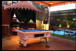 Birdee Num Num - New Castle Holiday 2