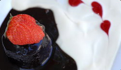 Bushman Hotel - New Castle Holiday 2