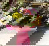 Bahia Restaurant - New Castle Holiday