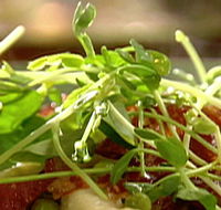 Wild Hearts Cafe Restaurant - New Castle Holiday