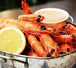 Sandgate QLD New Castle Holiday