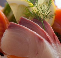 Cherry Blossom Tree - New Castle Holiday