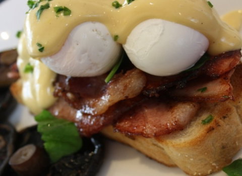 Raphael's On Brighton - New Castle Holiday 2