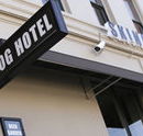 Skinny Dog Hotel - New Castle Holiday