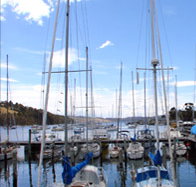 Oyster Cove Inn - New Castle Holiday