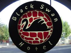 Black Swan Hotel - New Castle Holiday 0