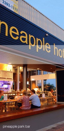 The Pineapple Hotel - New Castle Holiday 1