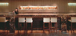 Aria At The Langham - New Castle Holiday 1