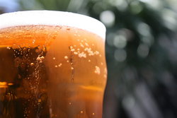 Greenwood Hotel - New Castle Holiday 2