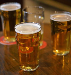 Captain Cook Hotel Botany - New Castle Holiday 3