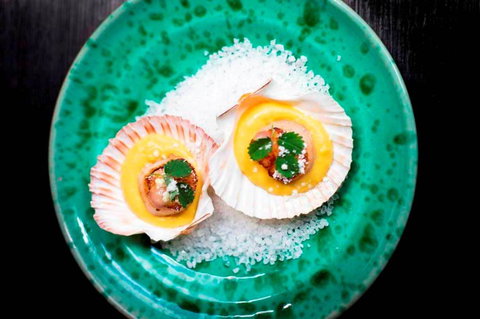 Sarti Restaurant - New Castle Holiday 5