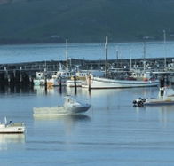 The Apollo Bay Hotel - New Castle Holiday