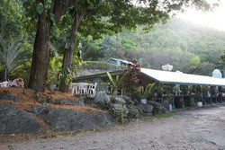 Ellis Beach QLD New Castle Holiday