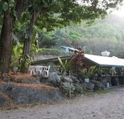 Ellis Beach Bar  Grill - New Castle Holiday