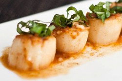 Rubix Bar - New Castle Holiday 0