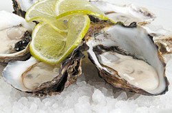 Platform Restaurant And Bar - New Castle Holiday 0