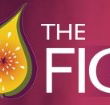 Naked Fig - New Castle Holiday