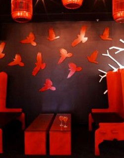 Soho Bar And Lounge - New Castle Holiday 0