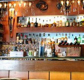 Safari Cocktail Bar - New Castle Holiday