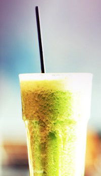 Wild Fig - New Castle Holiday 1