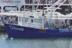 Cicerellos - New Castle Holiday 1