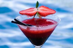 Blue Mango Wine Bar - New Castle Holiday 2