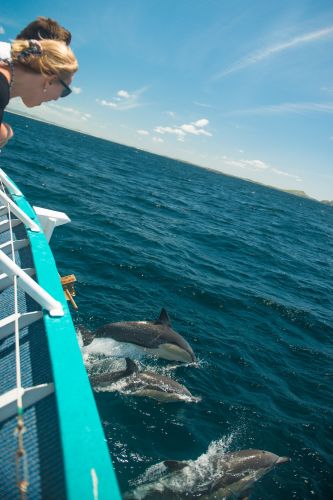 Illawarra Leagues Club - New Castle Holiday 4