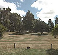 St Marys Sports Centre - New Castle Holiday