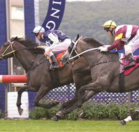 Gosford Race Club - New Castle Holiday