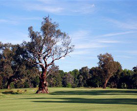 Corowa Golf Club - New Castle Holiday 5