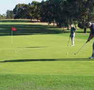 Waikerie Golf Club - New Castle Holiday