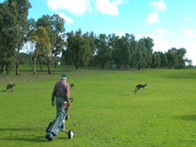 Louth Bay SA New Castle Holiday