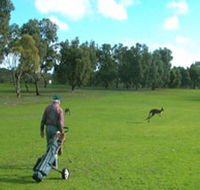 Coffin Bay Golf Club - New Castle Holiday
